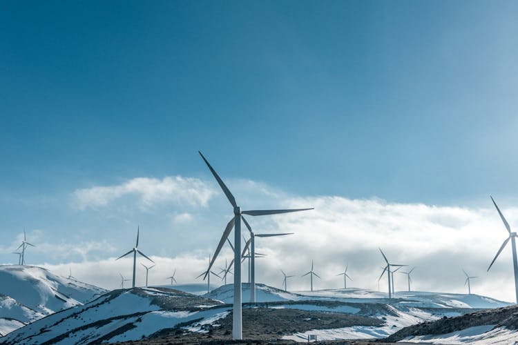 Wind turbines on the Texas plains